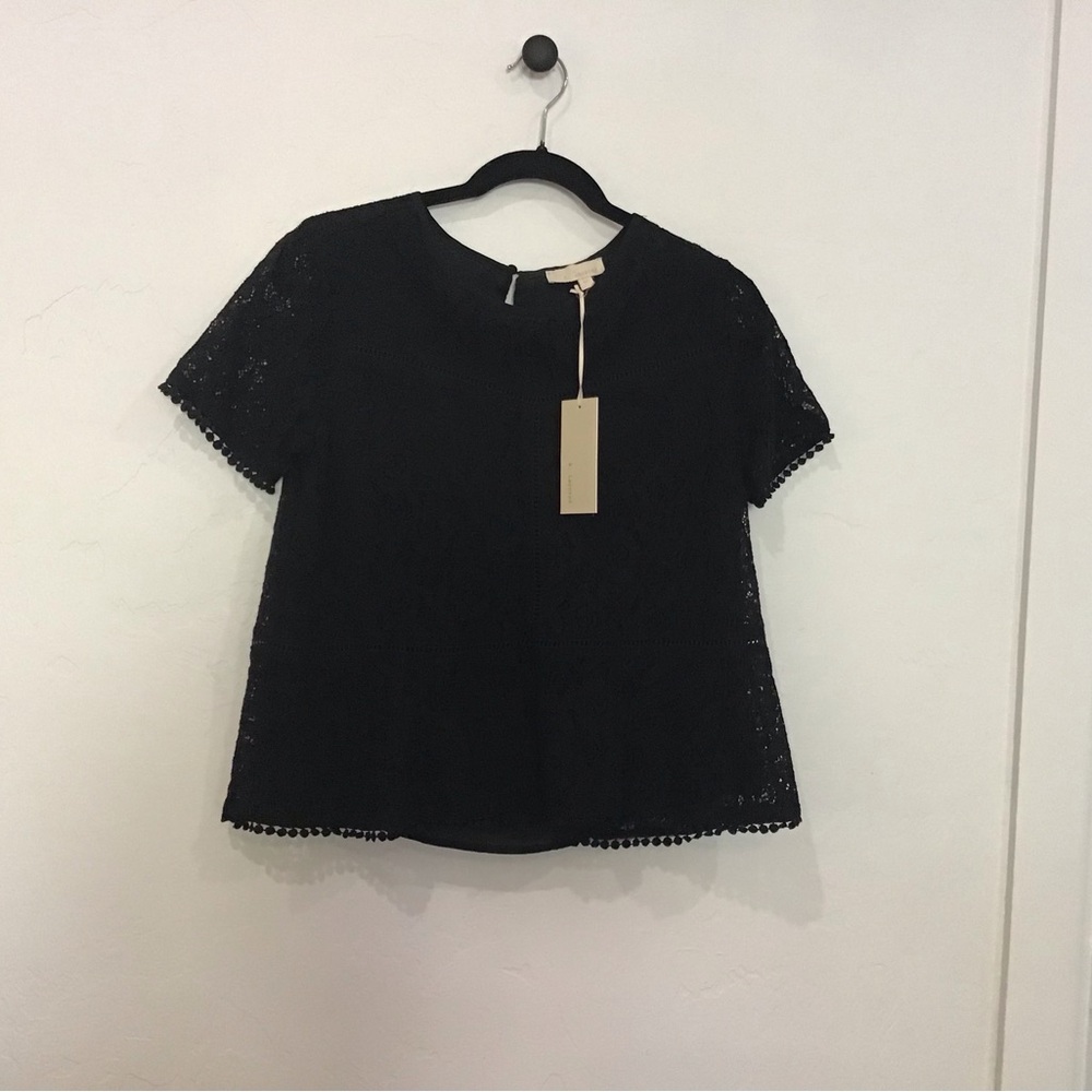 Black  lace overlay